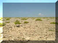 020_Trockenes_Riff.jpg (40991 Byte)