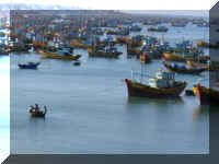 Fischerboote in der Bucht von Mui Ne