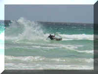 Urs in Dongara, Back Beach