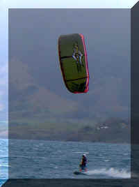 054_Kite_Flavia.jpg (29273 Byte)