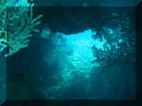 081_Tauchen.jpg (19925 Byte)