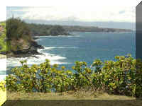 052_Jaws.jpg (31480 Byte)