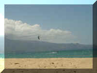 089_Kite_Urs.jpg (23266 Byte)