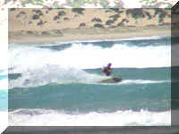 049_Kite_Urs.jpg (26041 Byte)