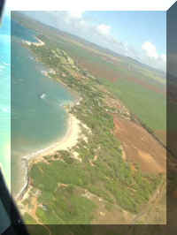 001_Maui_Sprecks.jpg (20246 Byte)