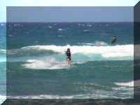 022_Kite_Flavia.jpg (21175 Byte)