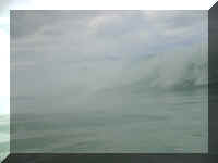 083_Welle.jpg (23081 Byte)