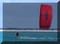 045_Kite_Flavia.jpg (26306 Byte)