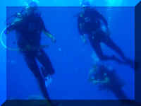 056_Tauchen.jpg (14853 Byte)