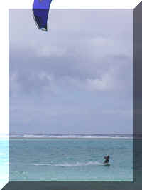 079_Kite_Urs.jpg (22710 Byte)