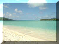 019_Kitebeach.jpg (23224 Byte)