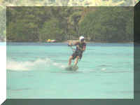 083_Kite_Urs.jpg (20717 Byte)