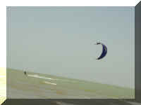 012_Kite_Urs.jpg (18979 Byte)