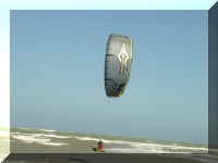 064_Kite_Urs.jpg (19338 Byte)