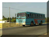 087_Bus.jpg (15101 Byte)