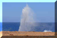 Blowholes